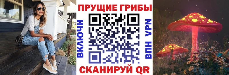 Купить  Россошь  Псилоцибиновые грибы GOLDEN TEACHER 
